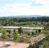 Vue